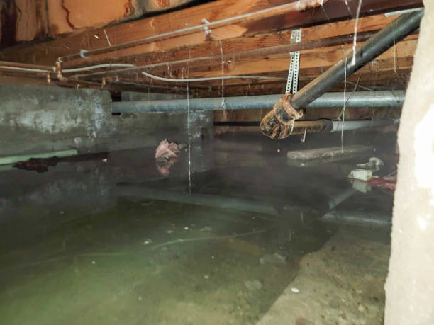 Best Fire Damage Restoration  in Sugar Land, TX