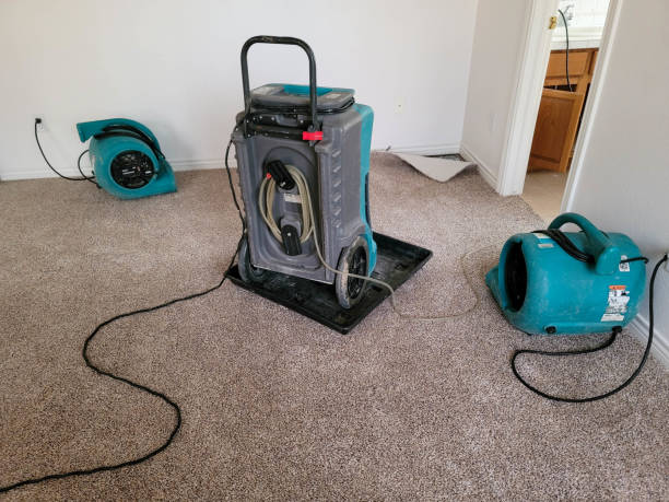 Best Emergency water damage restoration  in Sugar Land, TX