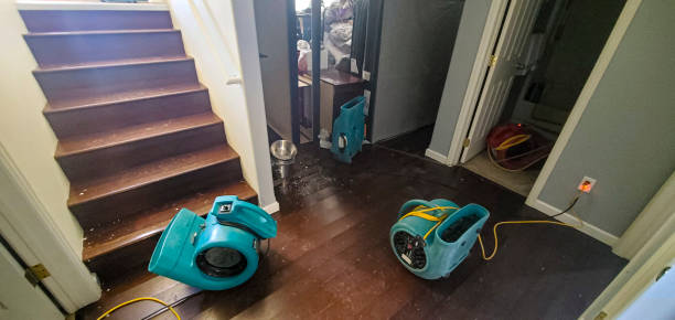 Best Local water damage restoration  in Sugar Land, TX