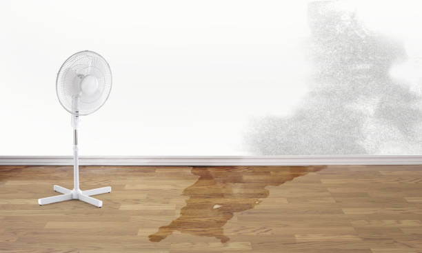 Best Sewage cleanup and water damage restoration  in Sugar Land, TX