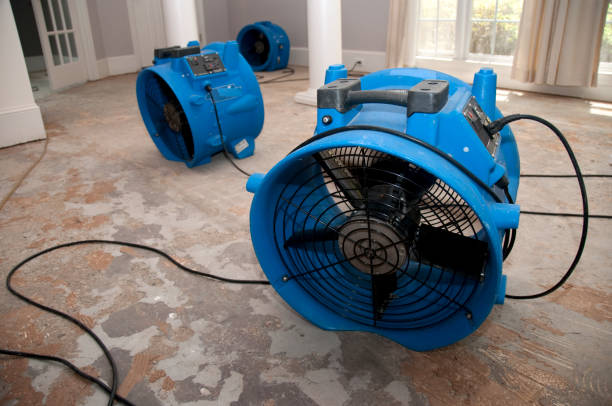 Best Sewage cleanup and water damage restoration  in Sugar Land, TX