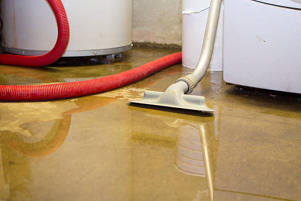 Best Professional water damage repair  in Sugar Land, TX