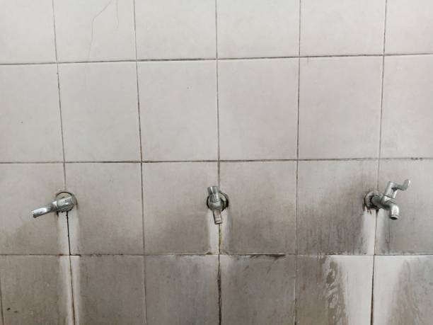 Best Water damage restoration near me  in Sugar Land, TX