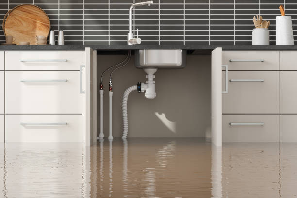 Best Water damage repair service  in Sugar Land, TX