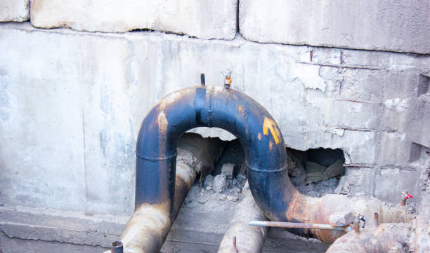 Best Ceiling water damage repair  in Sugar Land, TX