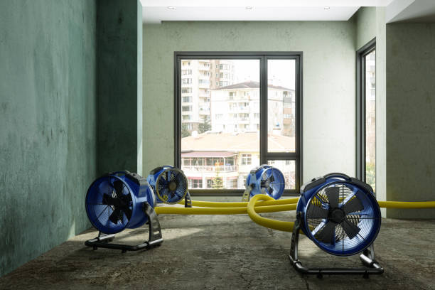 Best Water damage restoration mold remediation  in Sugar Land, TX